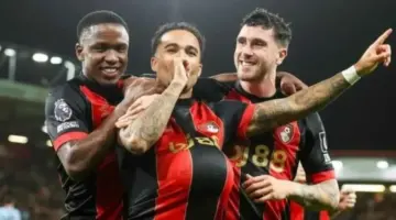 الإعلان عن المدير الفني الجديد لـ بورنموث الإنجليزي